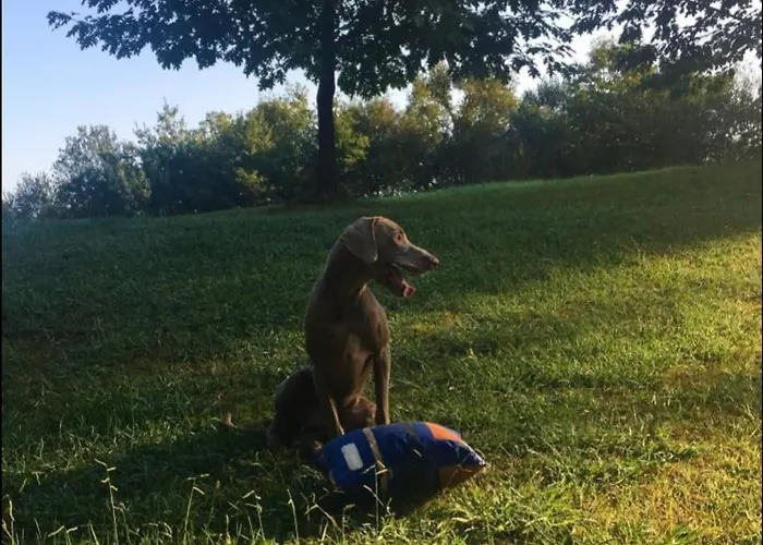 Maison Priats Casa de hóspedes *